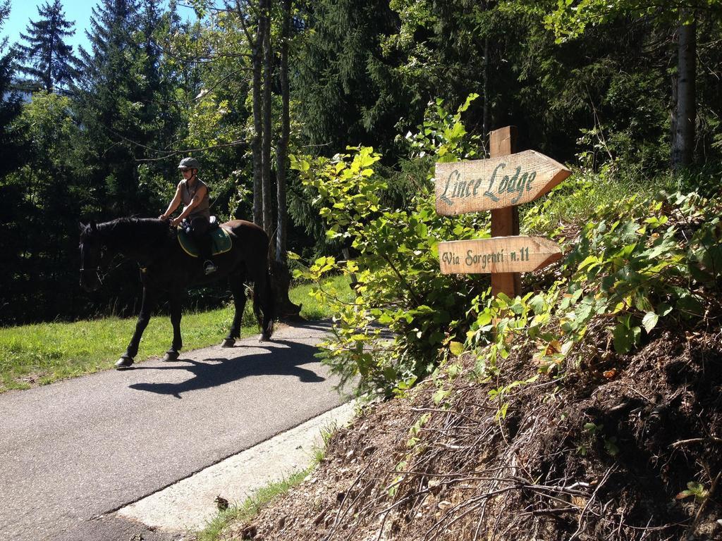 La Lince Lodge Camporosso  Bagian luar foto